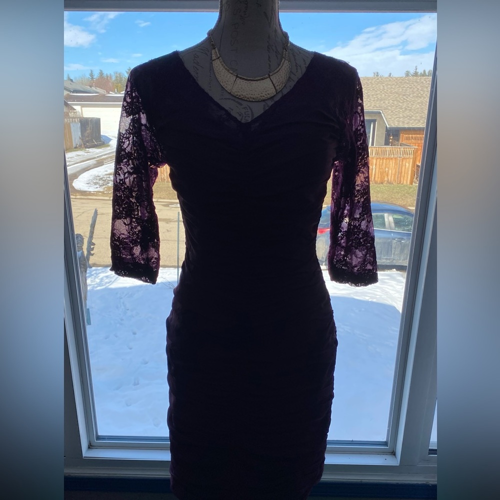 Elegant Purple Lace Sleeve Dress
